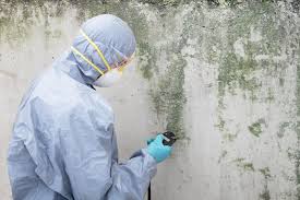 Best Asbestos and Lead Testing During Mold Inspection  in Carlinvle, IL